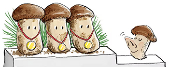 イラスト＝キム・ソンギュ