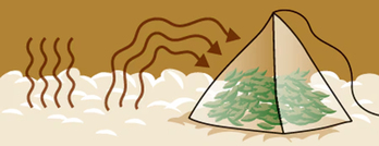 イラスト＝ペク・ヒョンソン