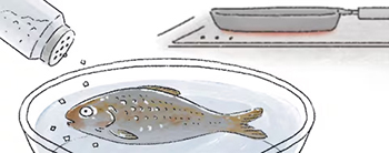 イラスト＝イ・ジンヨン