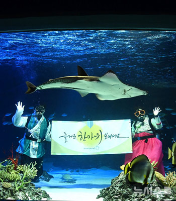 韓服姿で秋夕を迎える水中パフォーマンス