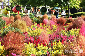 秋の趣きいっぱいの京畿庭園文化博覧会