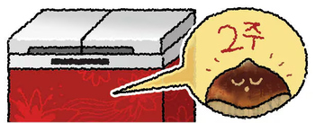 栗はキムチ冷蔵庫で保存を