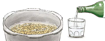 玄米を炊く時は焼酎を1杯