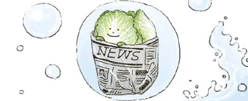 白菜は丸ごと立てて保存を