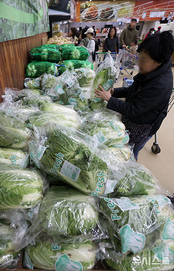 越冬用キムチ漬けの費用、今年は平均37.8万ウォン…昨年より減少