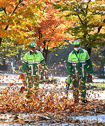 送風機で吹き飛ばされる落ち葉