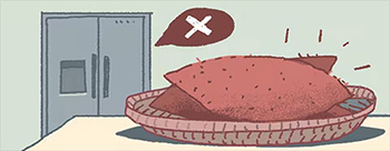 サツマイモは冷蔵庫ではなく室温保存で