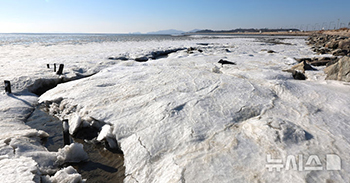 「小寒」に凍り付いた永宗島の干潟