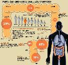 大腸がん発症率、韓国人男性がアジア1位