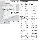 韓国各地で桜の開花に遅れ