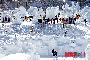太白山雪祭り開幕