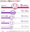 気になるデータ：韓国人が好きな犬種1位は？
