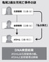 DNAは語る…亀尾2歳女児死亡通報した「祖母」は実の母親だった
