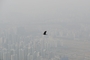 ▲21日午後、京畿道広州市の南漢山城から見たソウル市内の空は灰色にかすんでいた。写真＝コ・ウンホ記者