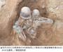 射撃姿勢そのまま…韓国・白馬高地の頂上に韓国軍2等兵の遺骨