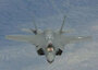 1月に胴体着陸した韓国空軍F35A、ハゲワシとの衝突で武器庫の壁に穴…あわや大惨事だった