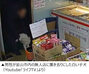 韓国動物愛護団体、釜山市内の無人店舗に子犬捨てた男を告発