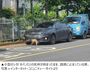 フロントバンパーに挟まったシカの死体に車の持ち主「気付かなかった」　韓国ネット拡散で騒動に