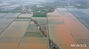 梅雨で浸水被害に遭った農耕地