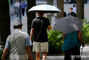 炎暑で老若男女の日傘購入が増加