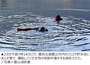 運転中の韓国50代女性が貯水池に転落、1時間後に水深5m地点で救助　／慶山