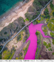 ▲ピンク色に変わったハワイの池／写真作家トラビス・モリン氏のインスタグラム