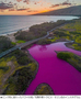 ハワイ・マウイ島の池が突然ピンクに…「塩分は海水の2倍」