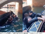 ベネチア水路ツアーでゴンドラ転覆、中国人観光客が立ち上がって自撮り…船頭の指示無視