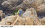 大王岩公園の奇岩怪石に落書き、60代女性を在宅起訴　「厄除け」と供述　／蔚山