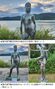▲慶州普門観光団地のウォーキングコースに設置されていた裸体彫刻／聯合ニュース