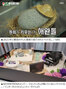 俳優イム・ウォニも「かわいい」と自慢…韓国の「ペット石」ブームに米紙が注目