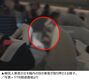 ブダペスト発仁川行きの機内で韓国人女性乗客が3時間暴言、カザフスタンに緊急着陸