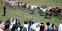 済州馬の「古藪牧馬」再現