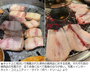 「食文化の違いを考慮すべき」　済州道知事、脂身サムギョプサル騒動巡る発言で炎上
