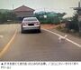 江華島の路上に子犬を置いて逃走？　慌ててドアを閉めて走り出す車に韓国ネット民憤慨