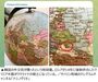 「外交上の欠礼だ」　韓国の外交官から贈られた地球儀にロシアの図書館が抗議