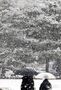 ソウルで初　3月中旬に「大雪特別警報」