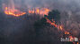 韓国で大規模な山火事：迫る火の手　／慶尚南道