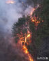 韓国で大規模な山火事：迫る火の手　／慶尚南道