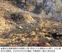 「溶接作業中」「草刈り中」　義城・山清・蔚州はすべて失火、処罰どうなる？　韓国大規模山火事