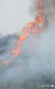 蔚州・彦陽で山火事