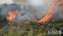 蔚州・彦陽で山火事