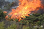 蔚州・彦陽で山火事