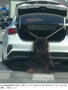車のトランクに大型犬をつないで走行、警察が捜査　／忠南・唐津