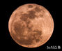「ピンクのマイクロムーン」観測された済州島の空