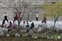平年の気温を取り戻したソウル、春の気運あふれる清渓川