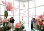 花でいっぱいのソウル・スカイ展望台