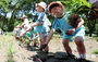 伝統の田植えを体験する「ちびっこ農夫」