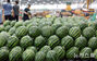 夏場はスイカが人気