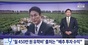 「白菜事業投資で得た収益金」で月450万ウォンの留学費用捻出？　次期首相候補・金民錫、有罪判決文と異なる説明　国会人事聴聞会